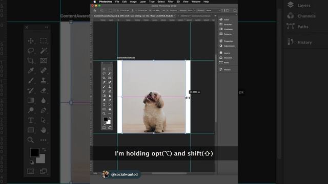 CONTENT AWARE SCALE (Adobe Photoshop 2020)