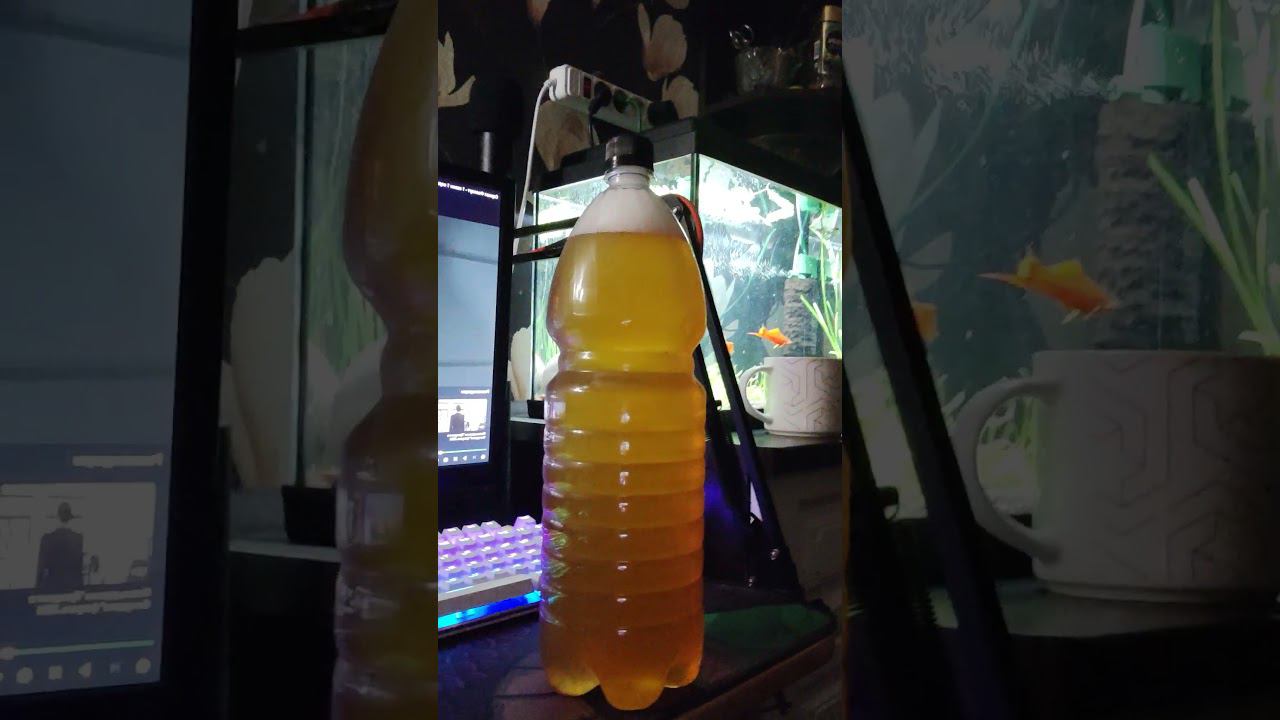 Я алкоголик #shorts смотреть онлайн