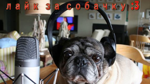 Подкаст+Анонс 12 часового СТРИМА {Ссылка на голосование в описании} смотреть онлайн