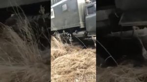 Нам туда, где нет дорог. Зил131 на гусеницах.