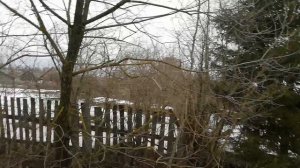 п. Заозерье Ярославской области.