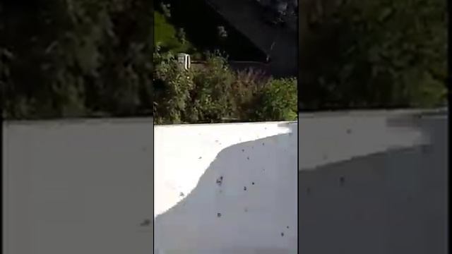 Убираем мастику с подоконника greenway смотреть онлайн