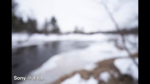Sony 20mm f/1.8 vs. Tamron 20mm f/2.8: New Lens Comparison Review on a7R IV