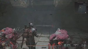 Remnant 2. Тупик Эндайры - лабиринт. Как найти реликвию БЬЮЩЕЕСЯ СЕРДЦЕ