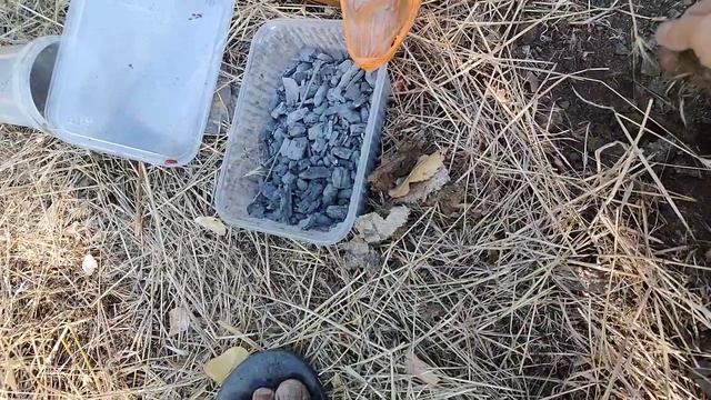 Посадка лесосадов в пересыхающих руслах горных рек и ручьев! смотреть онлайн