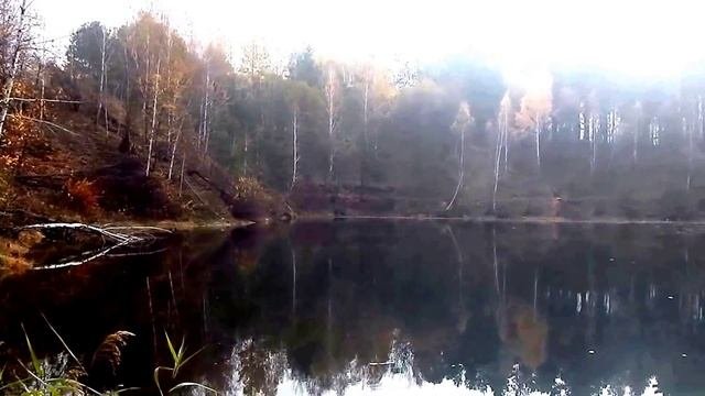 Возрождение деревни Дрозды!