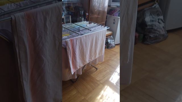 У Андрюша так и не получается выйти из шкафа