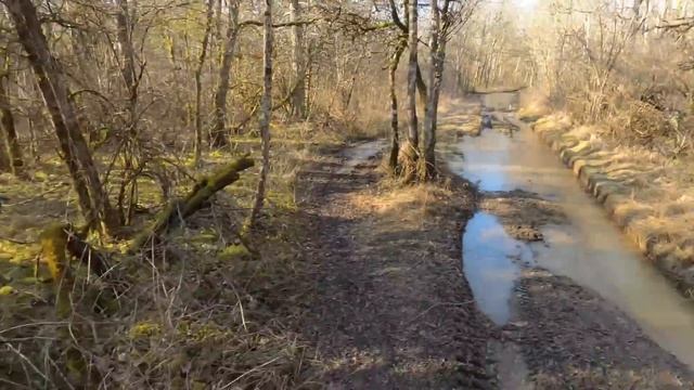 Cannondale TOPSTONE Neo SL : le Grand Test d'un Gravel à Assistance Electrique ?? смотреть онлайн