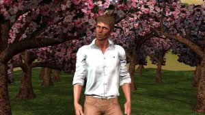 Туда, где зацветает миндаль...