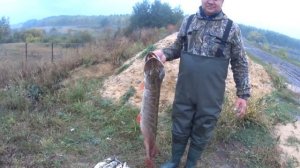 Рыбалка на хищника в Воронежской области