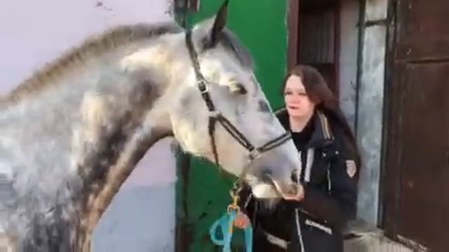 Лихацкий из Группы САДко скачет верхом на лошади в Мордовии ?! :-) ? смотреть онлайн