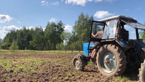 ЗАСЕВАЕМ ЛУГ / ПОДСЕВАЕМ ТРАВЫ в 2023. Ежа сборная и Фестулолиум