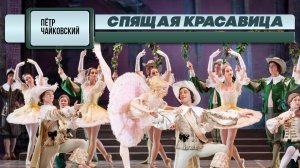 СПЯЩАЯ КРАСАВИЦА 3 - Петр Чайковский | Евгений Светланов (Антология русской симфонической музыки)