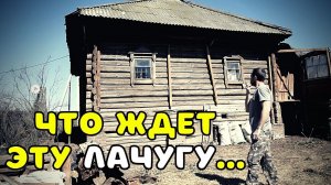 КУПИЛИ СТРАШНО УБИТЫЙ ДОМ В ДЕРЕВНЕ. ЧТО БУДЕТ С ДОМОМ. СДЕЛАЛ УЖАСНУЮ БЕСЕДКУ #беседка #дом #ремонт