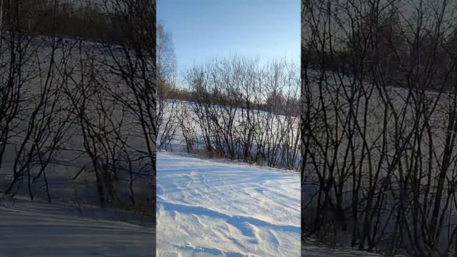 Охота на зайца, взяли одного, природа огонь смотреть онлайн