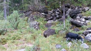 Сплав по Китою Начало Мыткиных Щек