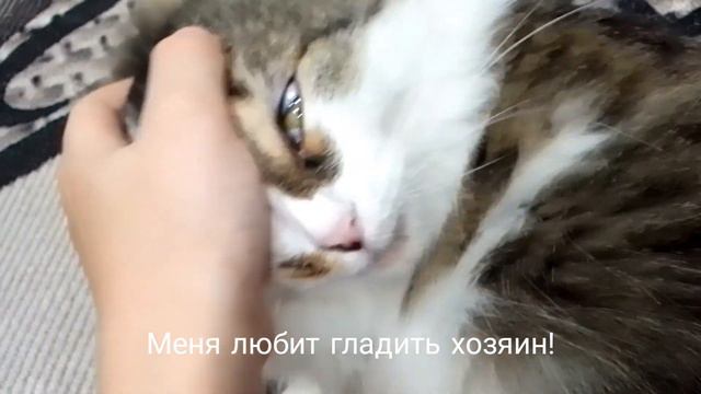 мы любим подпищиков,и мы сторались зделать это видео ради вас!
