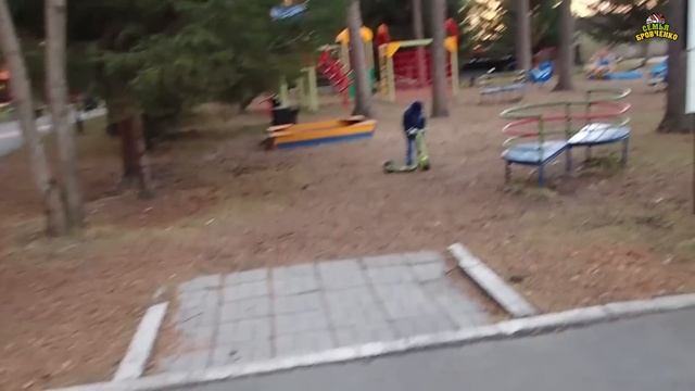 Поход с детьми в парк. Много белок. (11.22г.) Семья Бровченко. смотреть онлайн