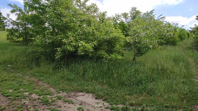 Вот куда девается плодородный слой с наших полей!...
