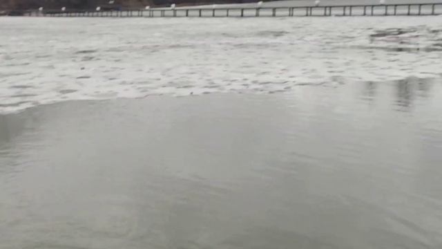 29.03.2023 КРХ Белая Дача Северная форель ловится и без запуска!Вся рыба с икрой!Обстановка в целом смотреть онлайн