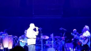 gipsy kings Nicolas reyes (zuzep)