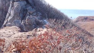 Мыс Лисученко, Врангель, Приморский край