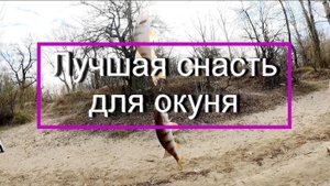 Лучшая снасть для окуня.