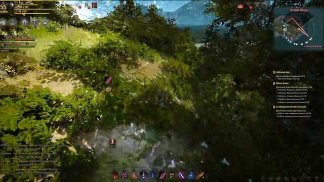 Black Desert - БДО Ниндзя Морской контент часть 3 (Воды Медии и Валенсии) смотреть онлайн