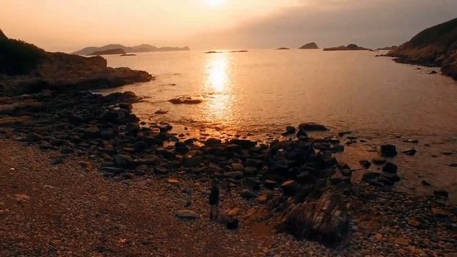 Люди, которые скучают друг по другу, встретятся снова смотреть онлайн