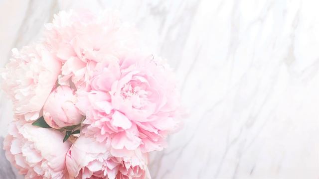 ПРАЗДНИЧНЫЕ ПЛАТЬЯ ? ДЛЯ ТОРЖЕСТВА ИЛИ ЮБИЛЕЯ ❤ Белорусский трикотаж 2020 - Светлые цвета смотреть онлайн