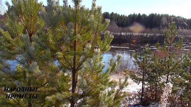 День Агафия. 3 ВАЖНЫХ ДЕЛ в этот день! Народные приметы 5 февраля.