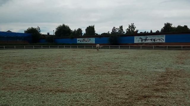 как приятно поваляться после работы смотреть онлайн