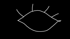 беги, дурак.