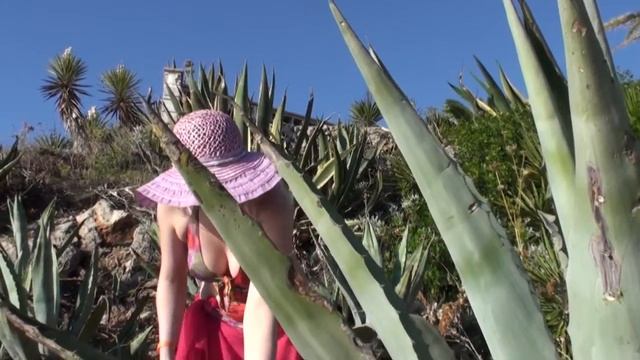 Советы Инги - Алоэ: супер крем для кожи смотреть онлайн