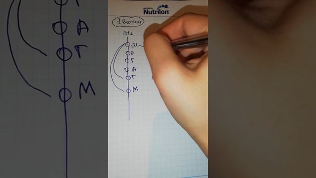 Ветки, как с ними работать смотреть онлайн