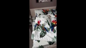 Комплект постельного белья Полисатин