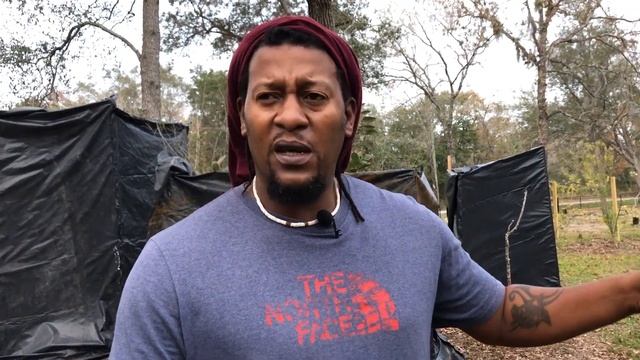 What is the best kumquat tree to purchase ? meiwa vs nagami/beginner Gardner смотреть онлайн