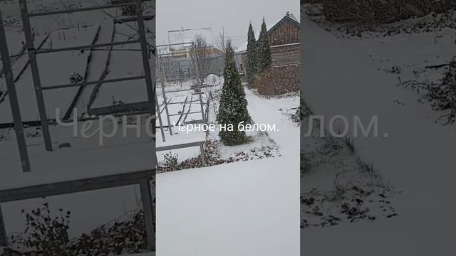 Чëрное на белом. смотреть онлайн