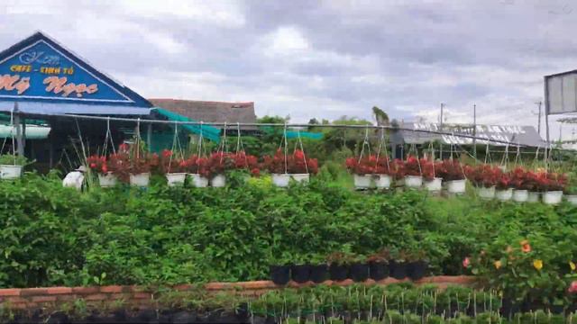 Làng Hoa Sa Đéc Cận Xuân 2022 | Quang Ya смотреть онлайн