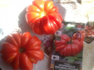 Томат "Лотарингская красавица". Дегустация