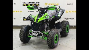 Квадроцикл YACOTA RENEGADE