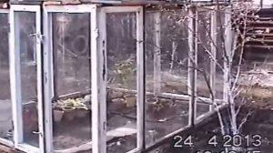 теплица из оконных рам