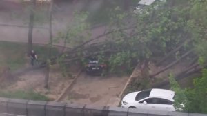 Ураган в Москве валит деревья. Человек борется с ураганом