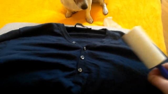 ШЕРСТЬ ДЖЕК РАССЕЛ ТЕРЬЕРА!! WOOL JACK RUSSELL TERRIER !!
