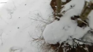 УДАЧНАЯ ОХОТА НА КУНИЦ КАПКАНАМИ