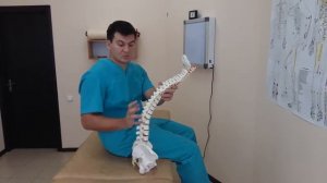 Шейный лордоз сглажен  Почему и чем это опасно?