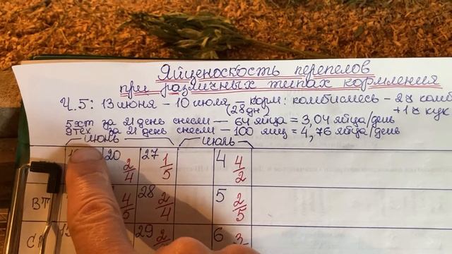 Яйценоскость перепелов при разных типах кормления. Часть 5.