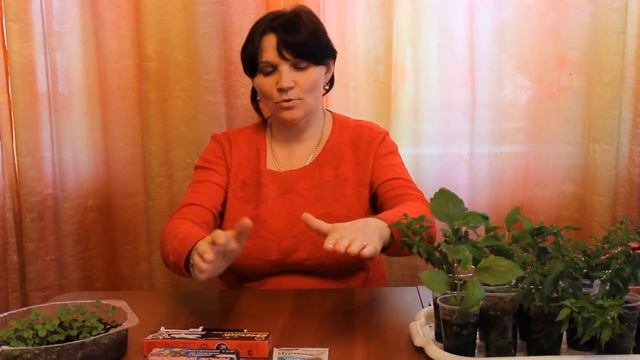 ЛУЧШИЙ СПОСОБ БОРЬБЫ С МУРАВЬЯМИ | КАК ИЗБАВИТЬСЯ ОТ МУРАВЬЕВ ЭФФЕКТИВНОСТЬ 100% смотреть онлайн