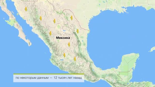 История сельскохозяйственных культур.