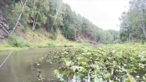 Рыбалка на малых реках Урала. Бардым.